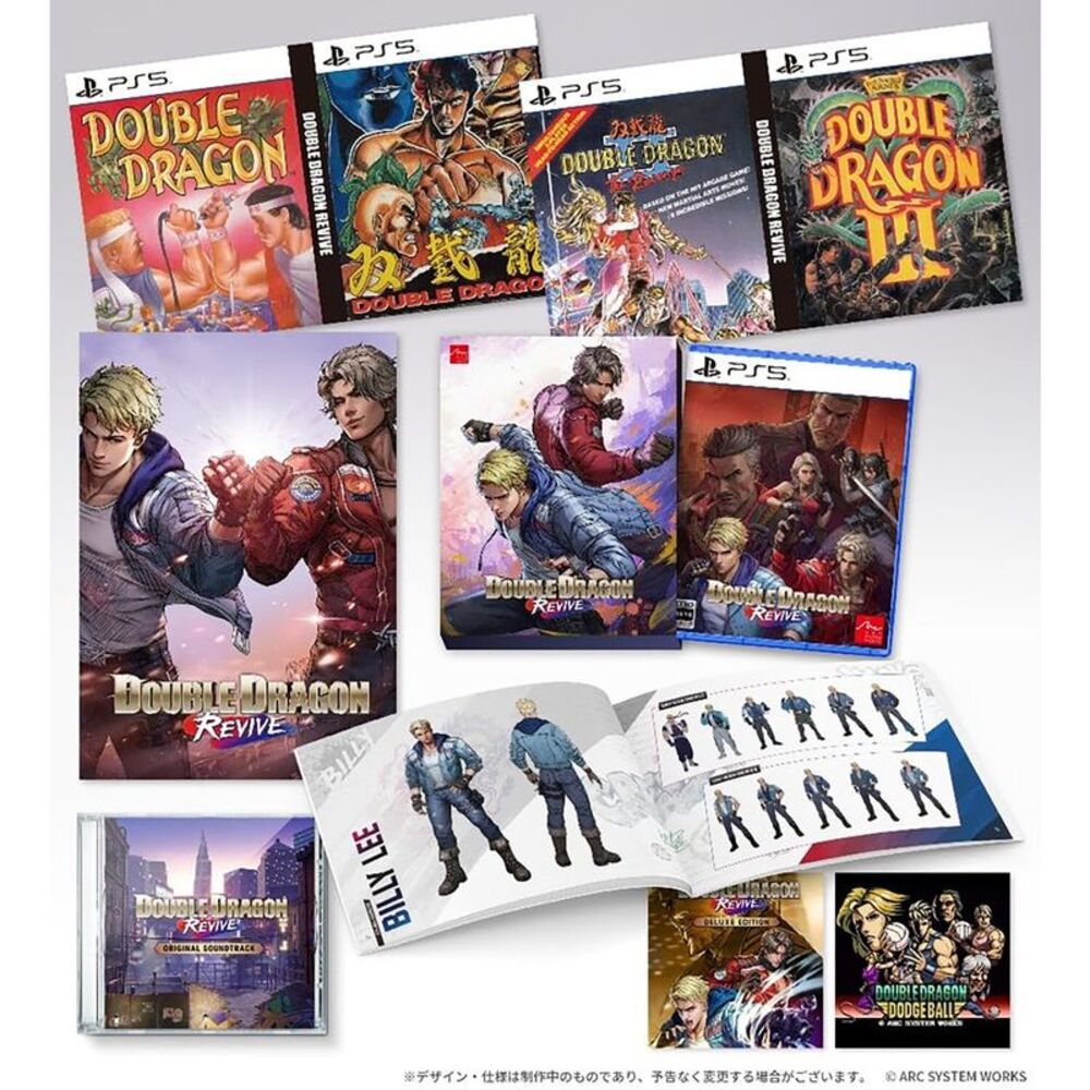 Double Dragon Revive - Collector's Edition for Playstation 5  VIDEOGAMES